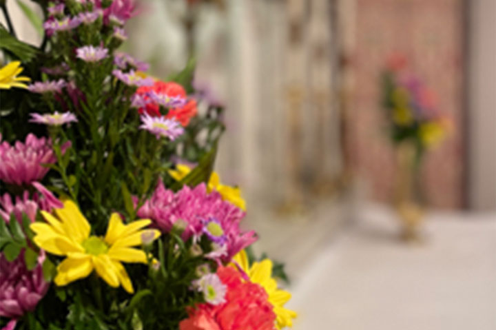 Flowers in Foreground